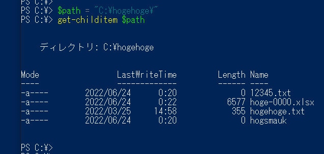 「C:\hogehoge\」フォルダに４つのファイルがあることを確認